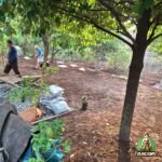 Pemasangan Rumput di Bogor Utara