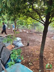 Pemasangan Rumput di Bogor Utara