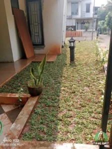 Proses Penyiraman