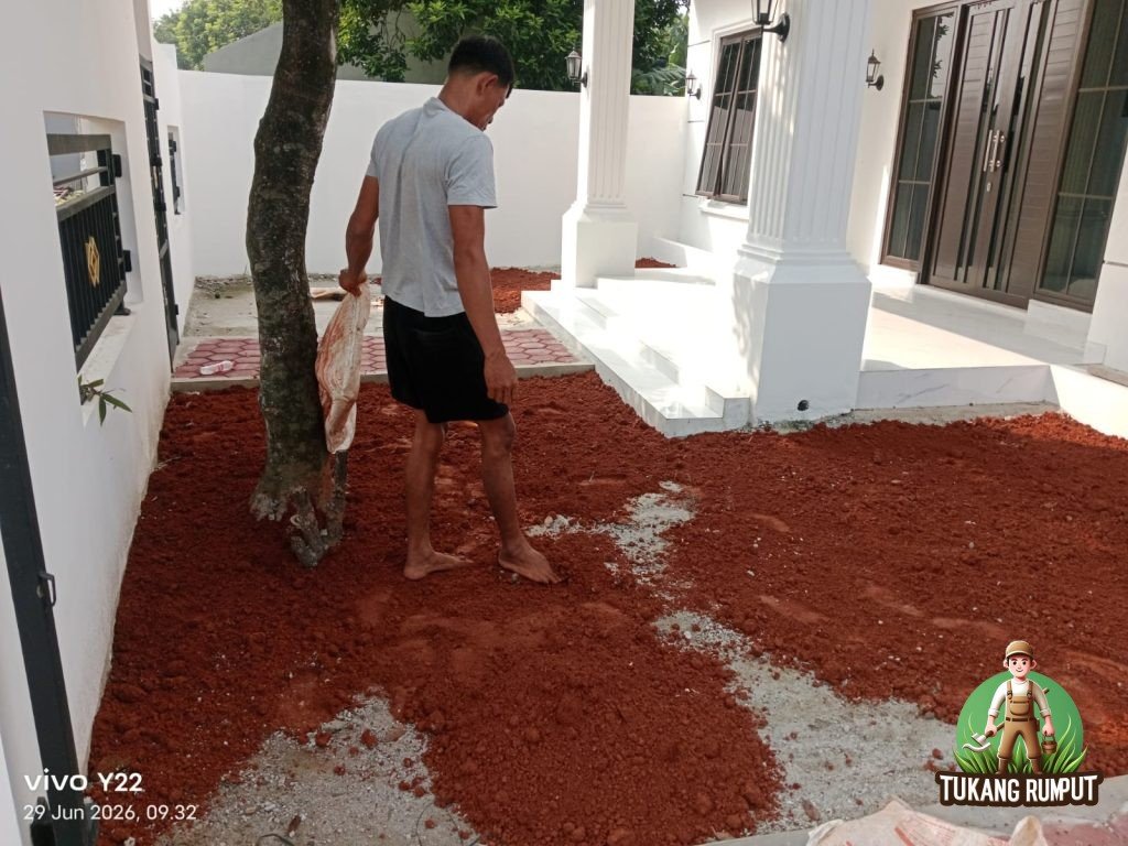 Strategi Menata Taman di Lahan Sempit Tanpa Membuat Area Terasa Penuh